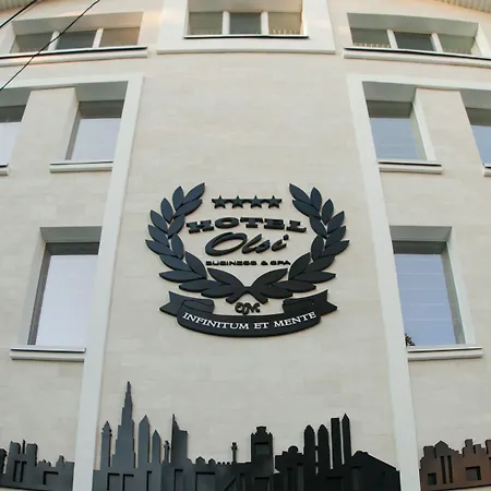 Hotel Olsi-2